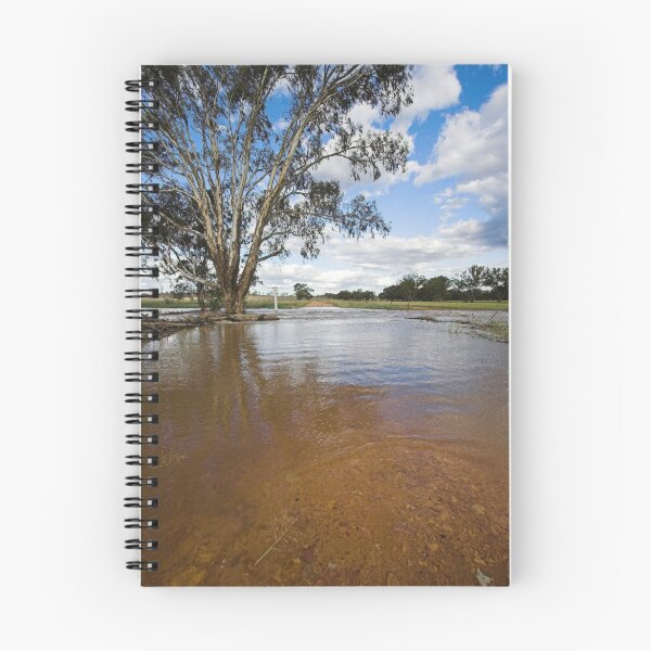 Artikelvorschau, Flooding - Macaulays Lane, Junee Reefs entworfen und verkauft von Will Barton.