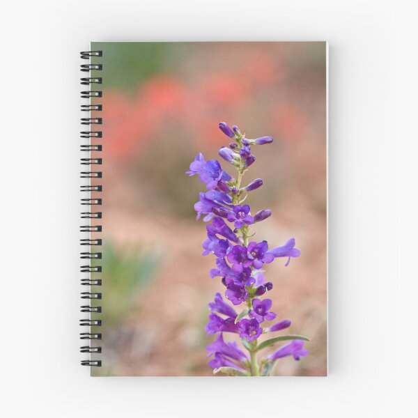 Item preview, Desert Flowers designed and sold by Kim Barton.
