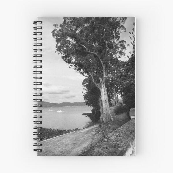 Item preview, The Silent Path designed and sold by David  Hibberd.