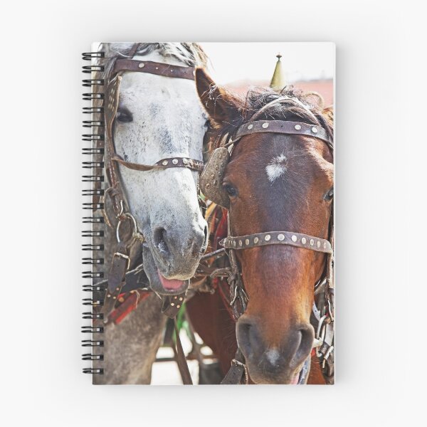 Aperçu de l'œuvre Two Horses  créée et vendue par Tenee Attoh.