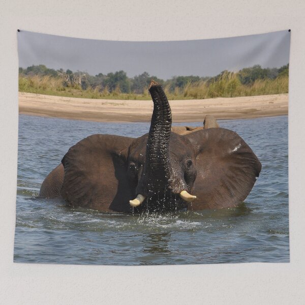 Item preview, elephant in river, portrait, Africa designed and sold by Schoensl.