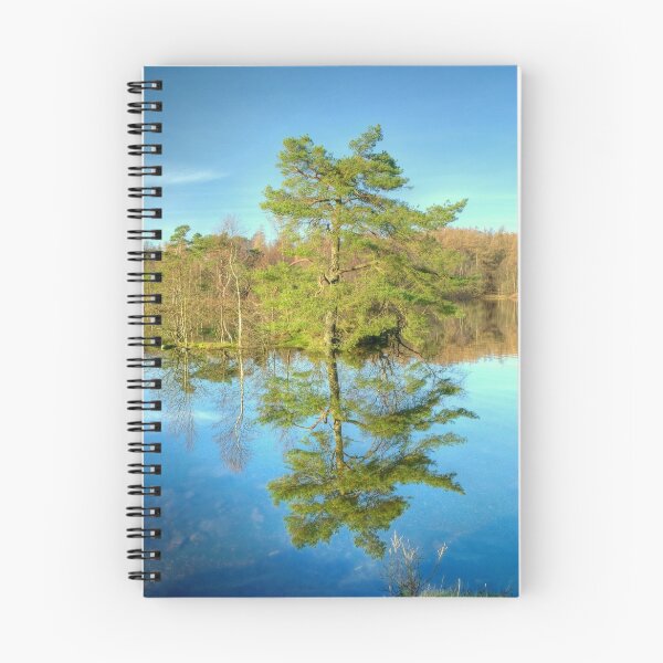 Artikelvorschau, Reflections of a Scots Pine entworfen und verkauft von Jamie Green.