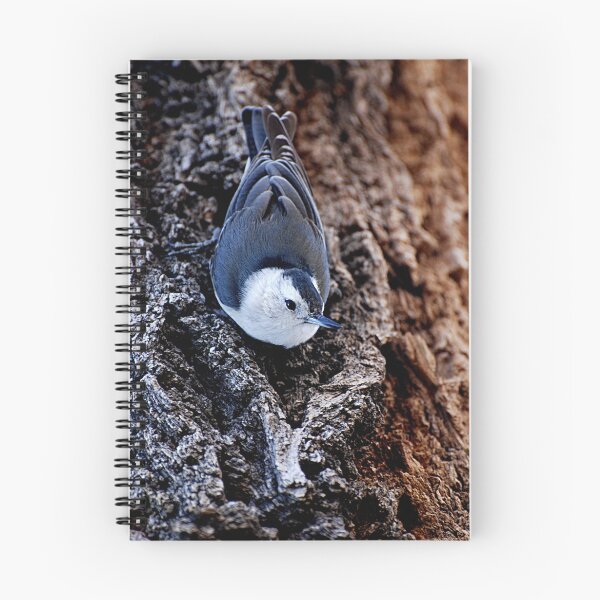 Item preview, The White-breasted Nuthatch designed and sold by Judy Ann  Grant.