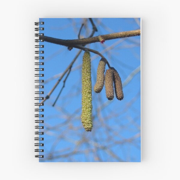 Item preview, Spring Signs designed and sold by ienemien.