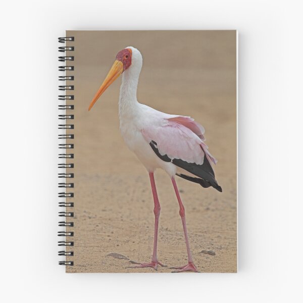 Artikelvorschau, Yellow-billed Stork entworfen und verkauft von Hugh J Griffiths.