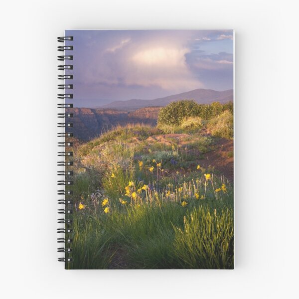 Item preview, Last Light at Dowd Mountain Overlook designed and sold by Kim Barton.