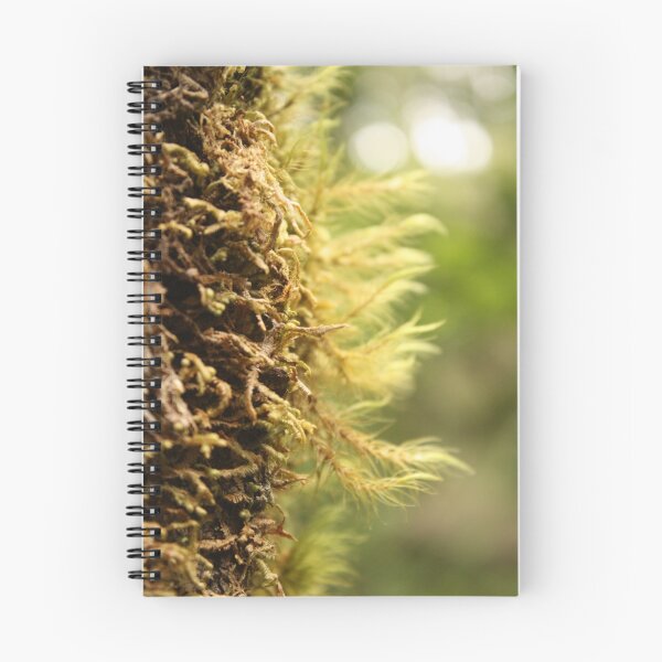 Aperçu de l'œuvre Mossy Tree créée et vendue par Bryce09.