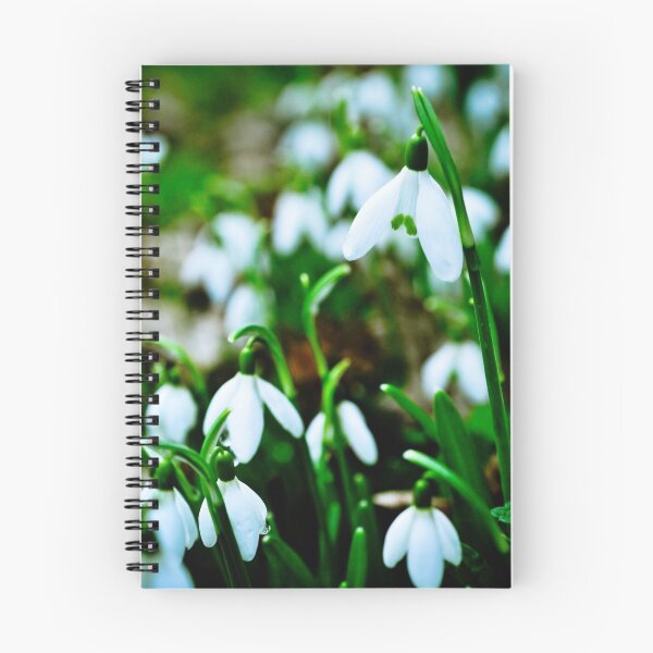 Item preview, Snowdrops designed and sold by Pat Shawyer.
