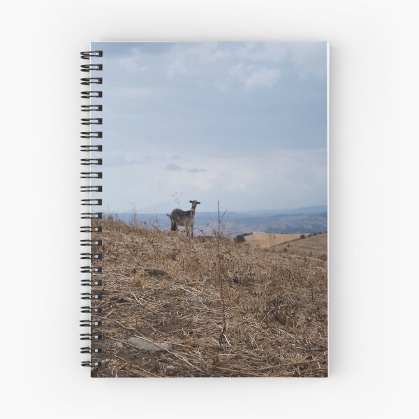 Item preview, Catalina's goat designed and sold by Liza Kirwan.