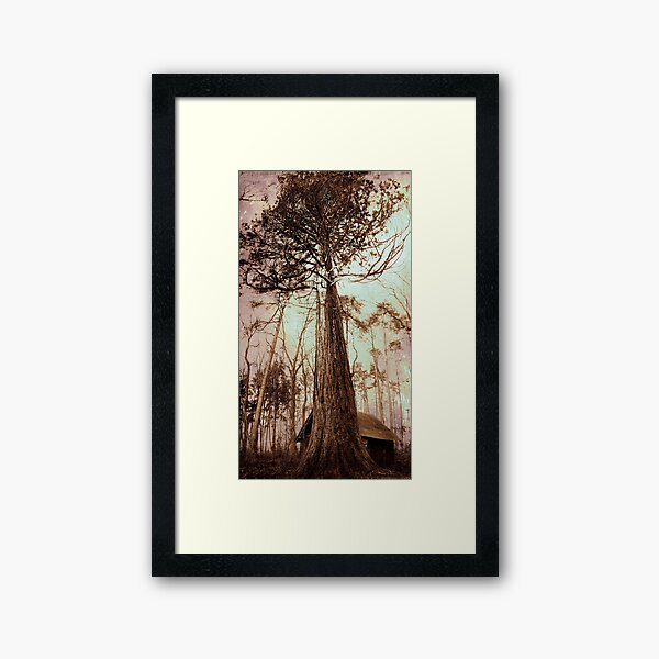 Item preview, redwood designed and sold by SophiaA.