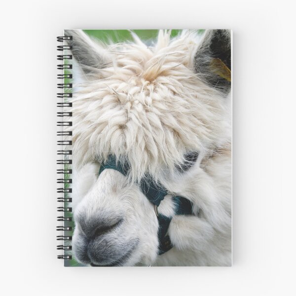 Item preview, Alpaca portrait (Vicugna pacos) designed and sold by buttonpresser.