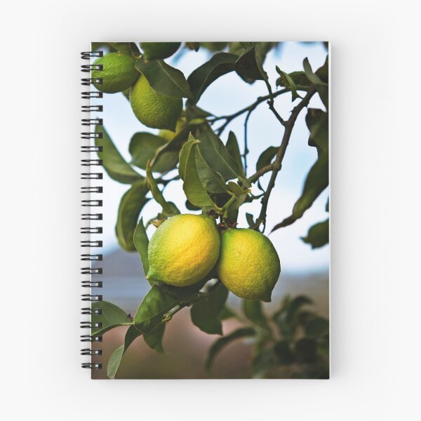 Item preview, lemons designed and sold by ser-y-star.