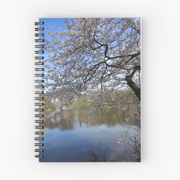Artikelvorschau, Spring in New Jersey entworfen und verkauft von Lauren Banks.