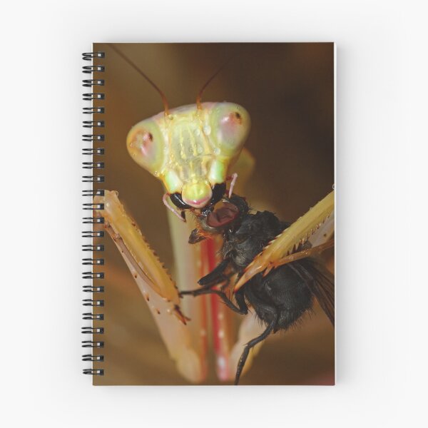 Item preview, Jade mantis eating dinner designed and sold by Scott Thompson.