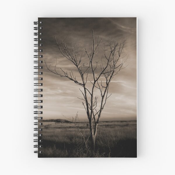 Item preview, Holding on - Lone Tree designed and sold by Tim Mannle.