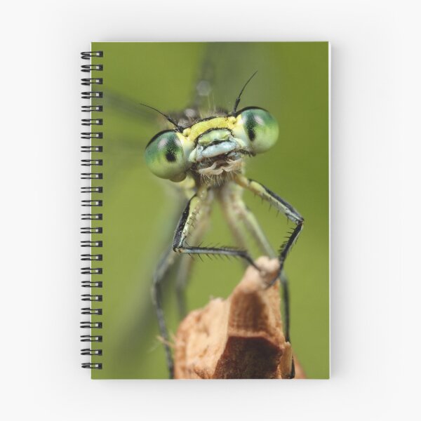 Item preview, Damselfly designed and sold by Scott Thompson.