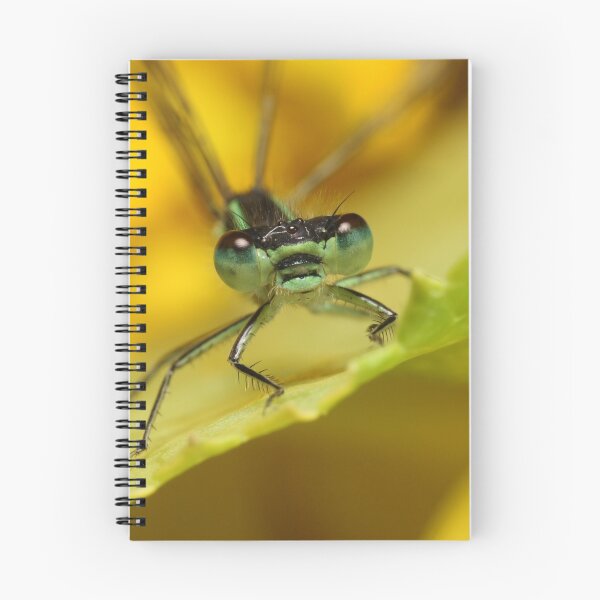 Item preview, Damselfly (suborder Zygoptera) designed and sold by Scott Thompson.