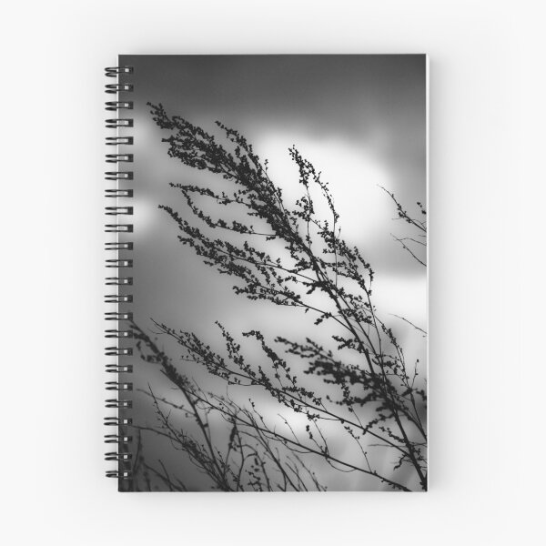 Item preview, OnePhotoPerDay series: 072 by C. designed and sold by C. & L. | Photography & Artworks.