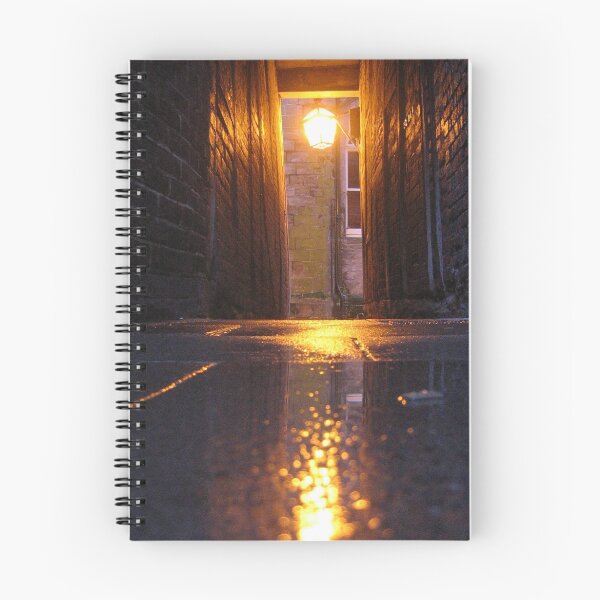 Item preview, Lamplit Alleyway designed and sold by mikebov.