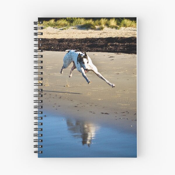 Item preview, Still flying - with reflection! designed and sold by GreyhoundSN.
