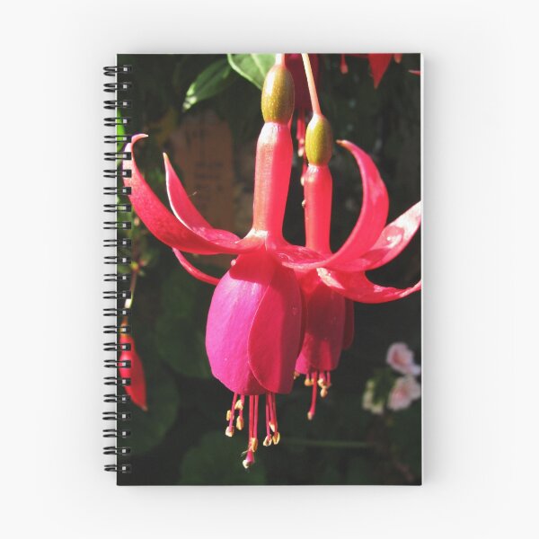 Item preview, Fuchsia designed and sold by rasim1.
