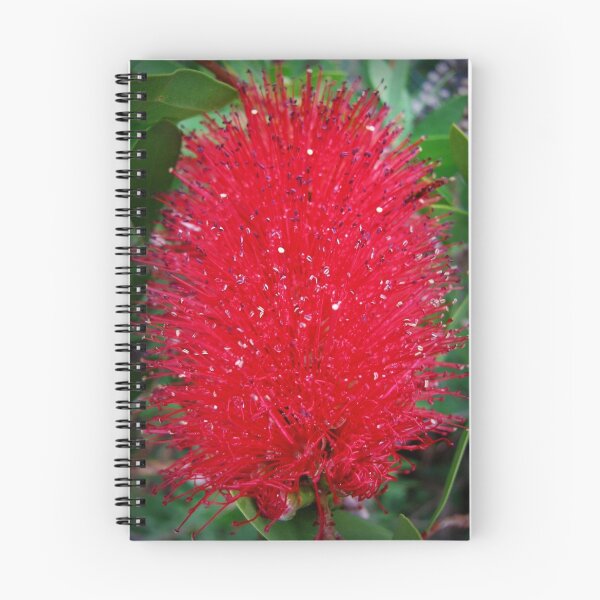 Item preview, Bottle brush designed and sold by rasim1.