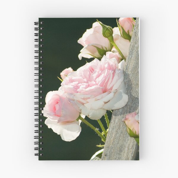 Item preview, Climbing Rose designed and sold by Tracy Riddell.