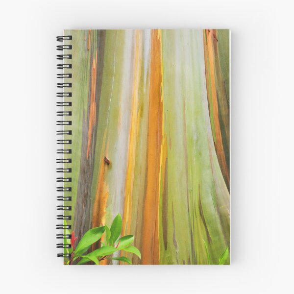 Item preview, Rainbow Eucalyptus designed and sold by Tracy Riddell.
