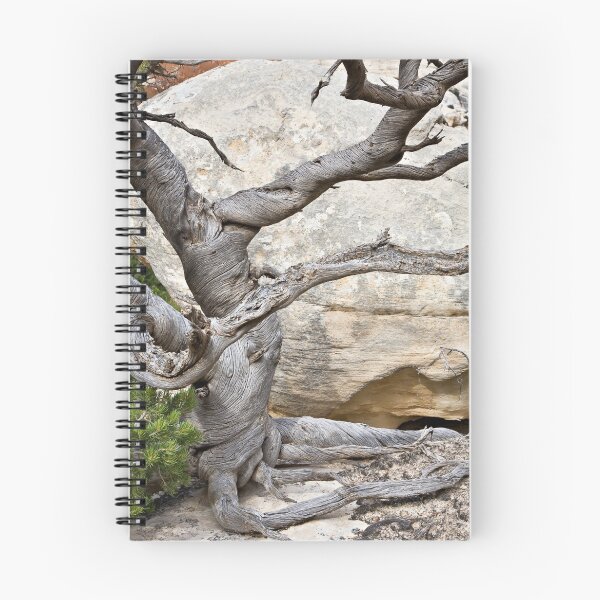 Artikelvorschau, Twisted Tree 2 entworfen und verkauft von Kim Barton.