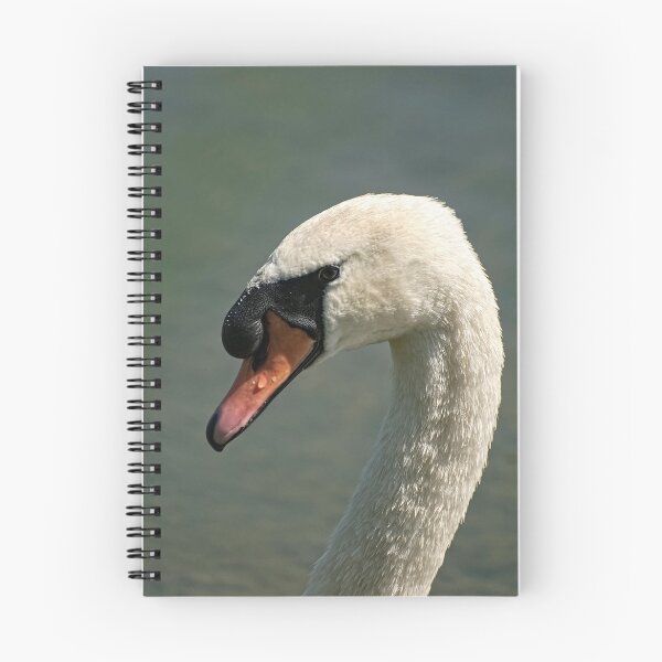 Item preview, Mute Swan designed and sold by Tracey  Dryka.