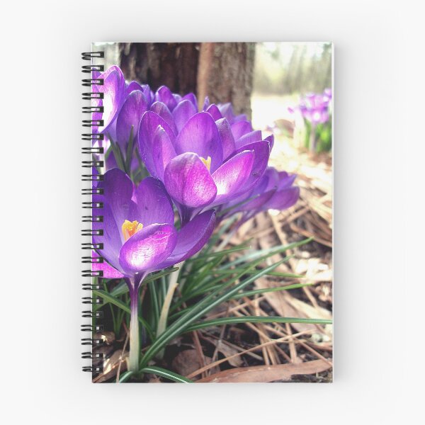 Item preview, Spring has Sprung designed and sold by melly07.