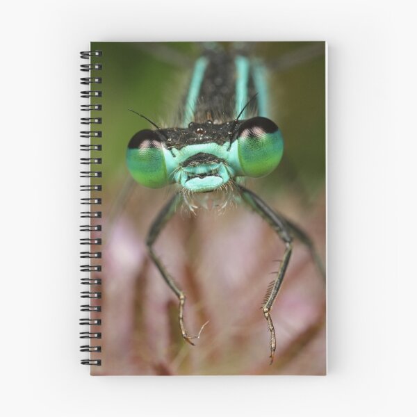 Item preview, Damselflies designed and sold by Scott Thompson.