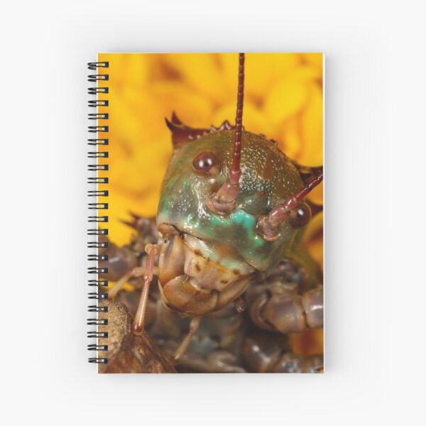 Item preview, Armoured ground cricket series designed and sold by Scott Thompson.