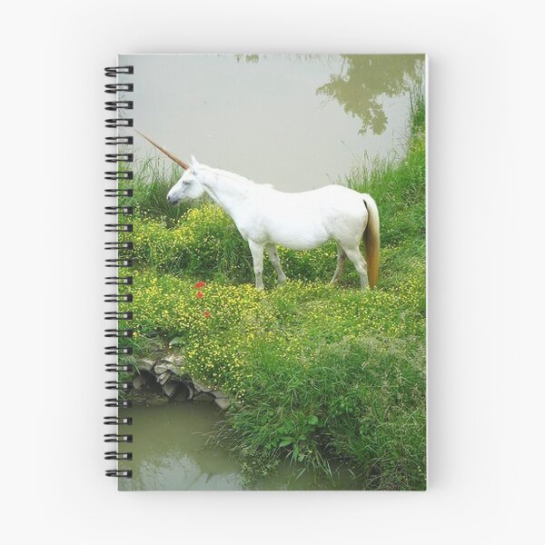 Artikelvorschau, Unicorn 1 entworfen und verkauft von David VanHattem.