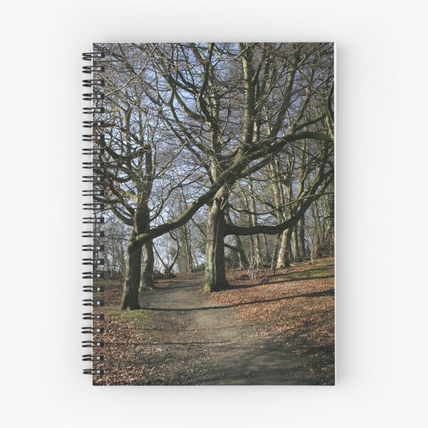 Item preview, Wizards Walk designed and sold by Sara-Jane  Keeley.