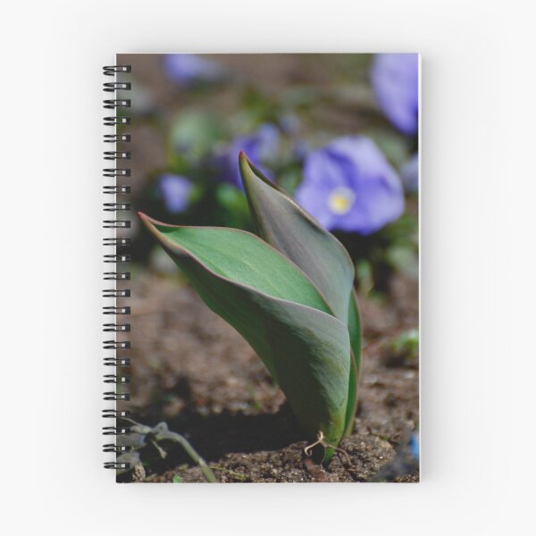 Item preview, Unfolding Beauty designed and sold by Pamela Hubbard.