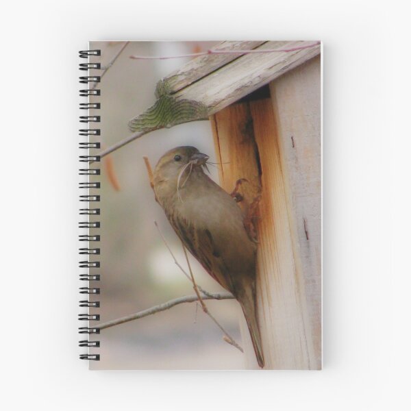 Item preview, New Spring Tenant designed and sold by shutterbug2010.