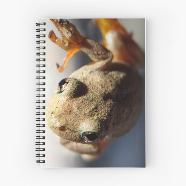 Item preview, Peron's Tree Frog designed and sold by Natalie Ord.