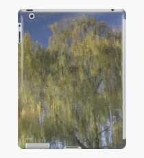 On Reflection #1 iPad Case/Skin