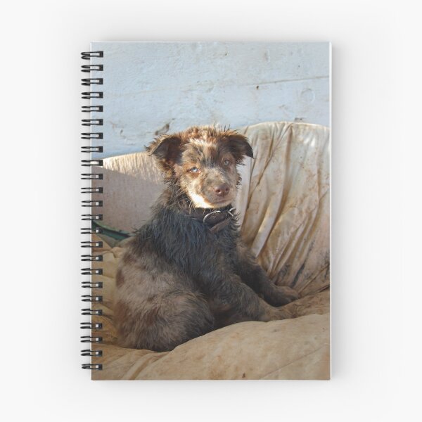 Item preview, I WAS PUSHED!!! designed and sold by Helen Akerstrom Photography.