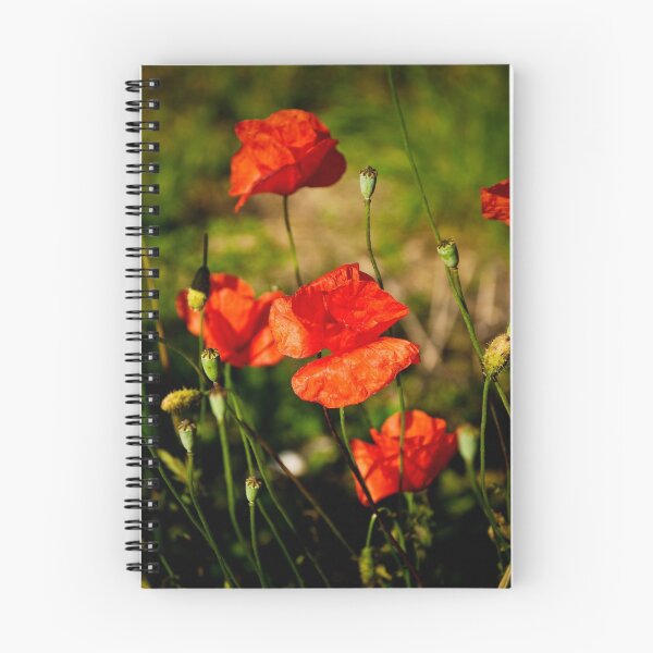 Item preview, Joli Coquelicot designed and sold by Jacinthe Brault.