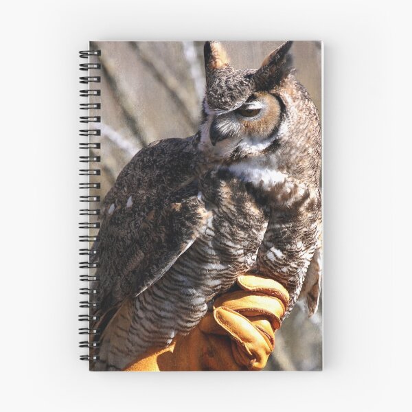 Item preview, Great Horned Owl designed and sold by Stormygirl.