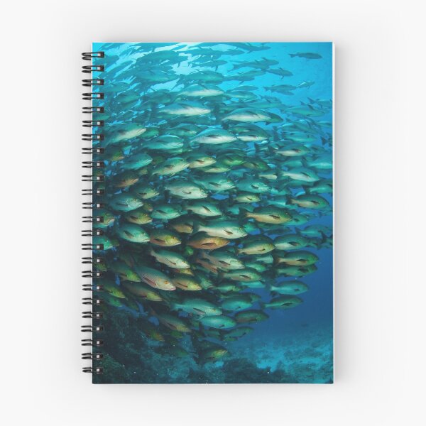 Item preview, Schooling Snapper designed and sold by muzy.