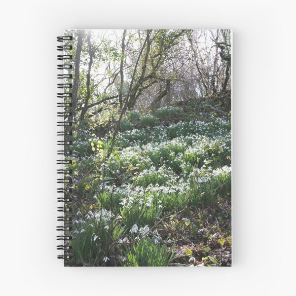 Item preview, Snowdrops in Cornish Woodland designed and sold by winterhare.