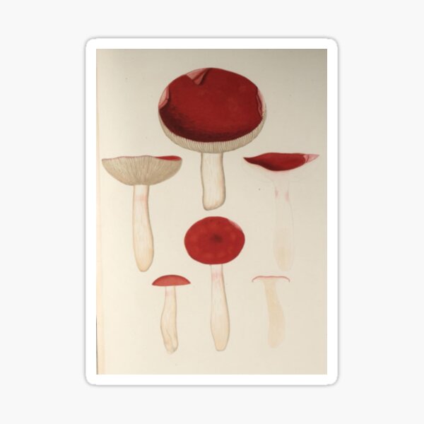 Item preview, Naturalist Mushrooms designed and sold by BlueSpecsStudio.