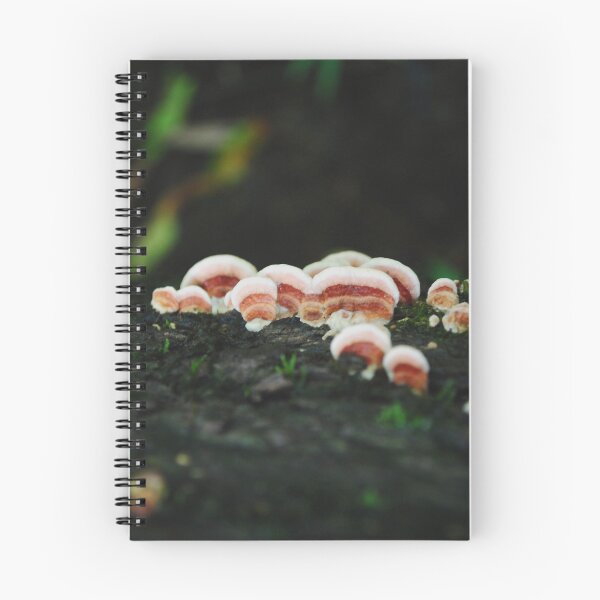 Item preview, pink bracket fungus designed and sold by Erin Anderson.