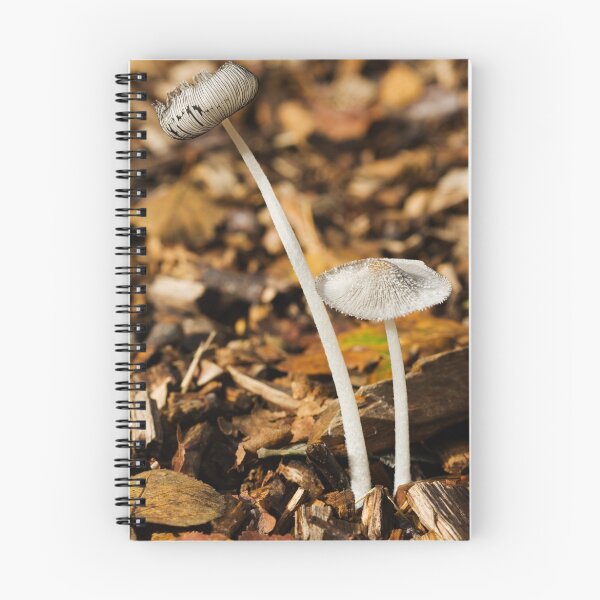 Item preview, Coprinus niveus designed and sold by kernuak.