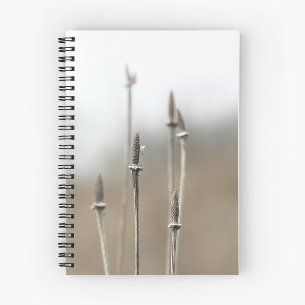 Item preview, Mays Lake Wildflowers designed and sold by BonnieJames.