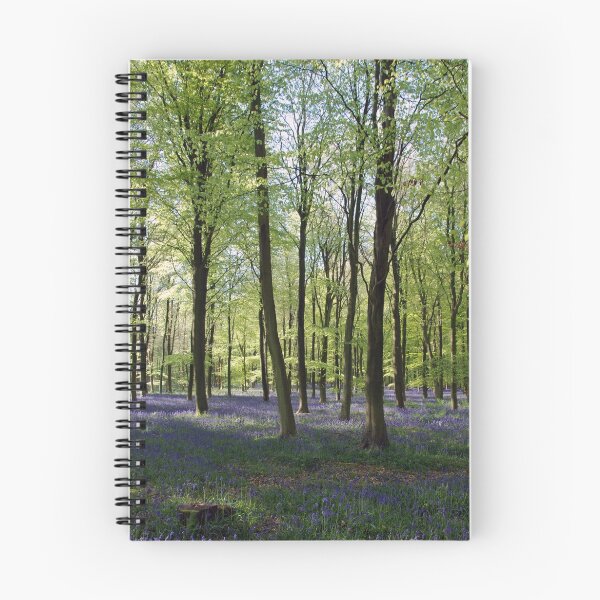 Item preview, Beech and Bluebells designed and sold by Barry Goble.