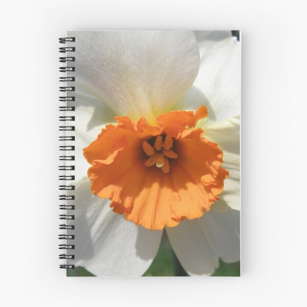Item preview, A Happy Face designed and sold by Patty Lewis.